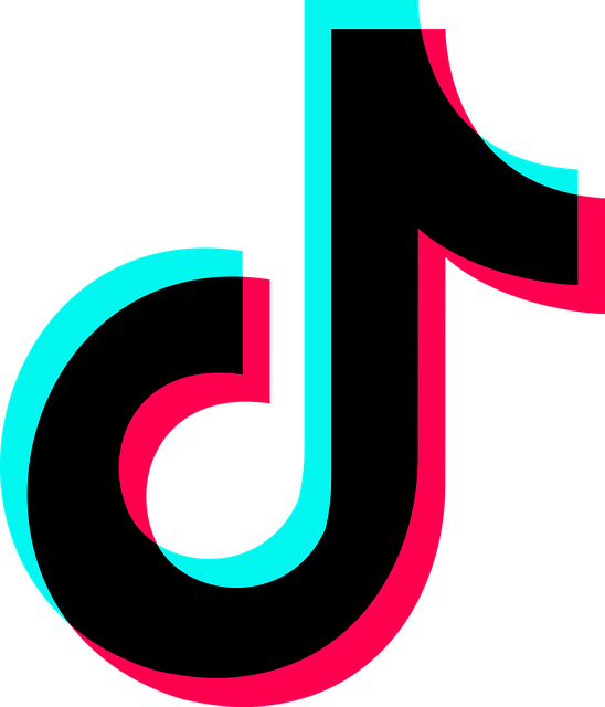 logo tiktok